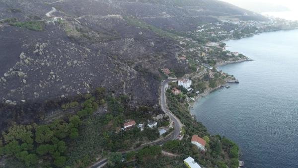 Marmara Adası'nda 80 hektar alan kül oldu